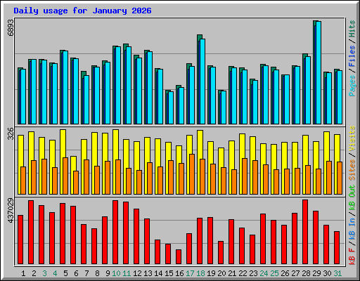 Daily usage for January 2026