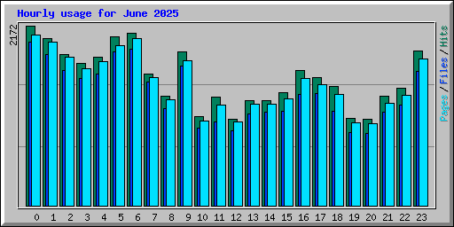 Hourly usage for June 2025