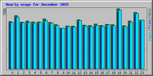 Hourly usage for December 2025
