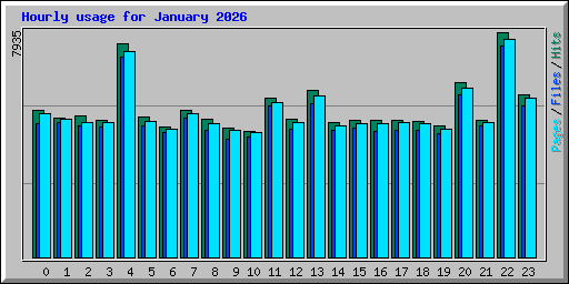 Hourly usage for January 2026